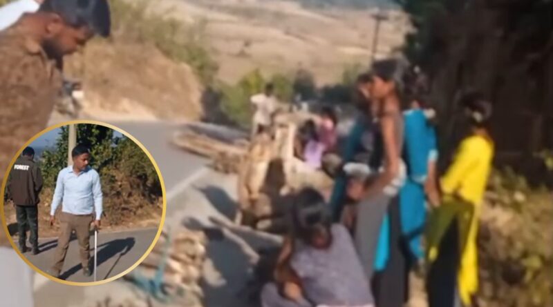 Forest officials behaved indecently with girls