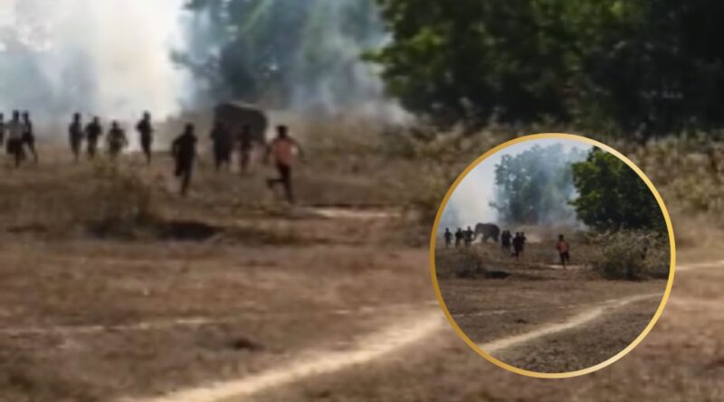 Elephant Attack in Singhbhoom