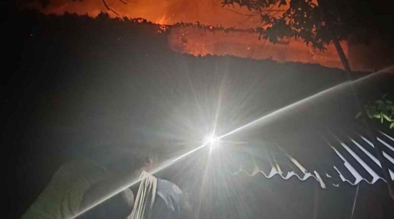 Basia Fire News