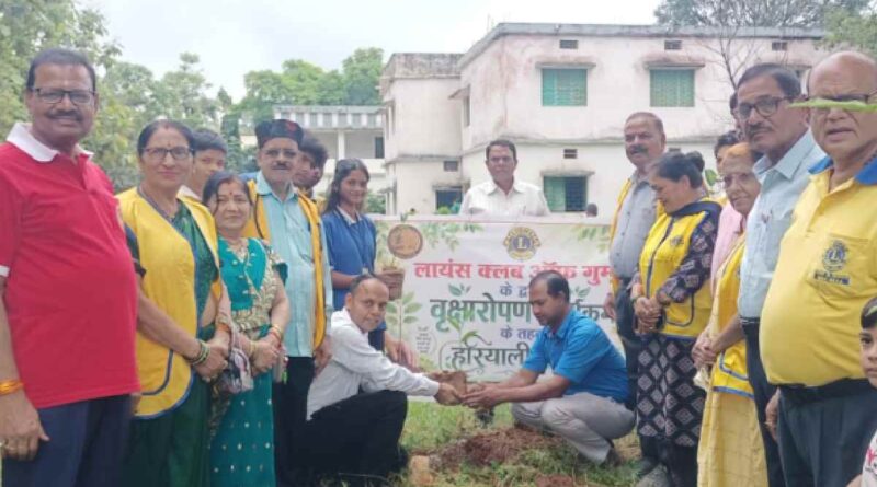 Lions Club planted saplings