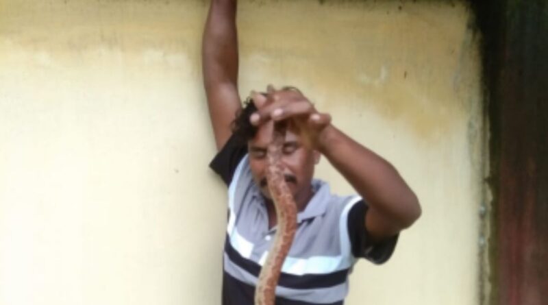Snake Bite in Basia Gumla
