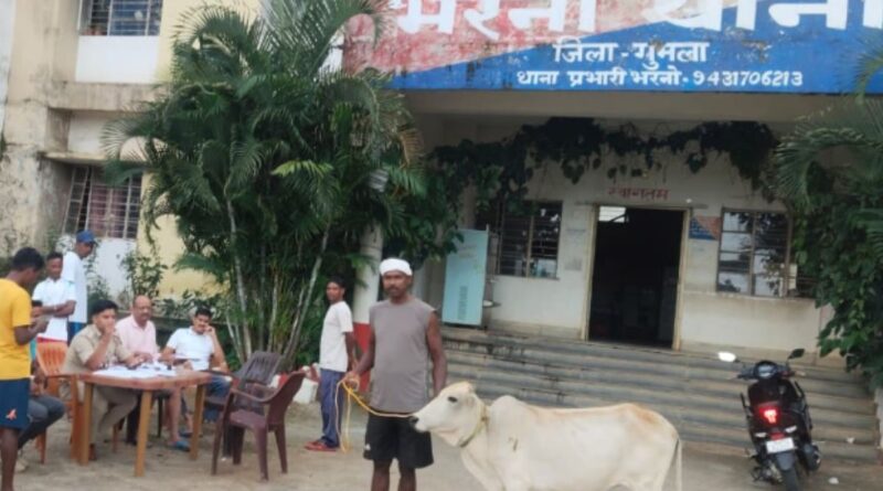bharno-police-distributed-cattle