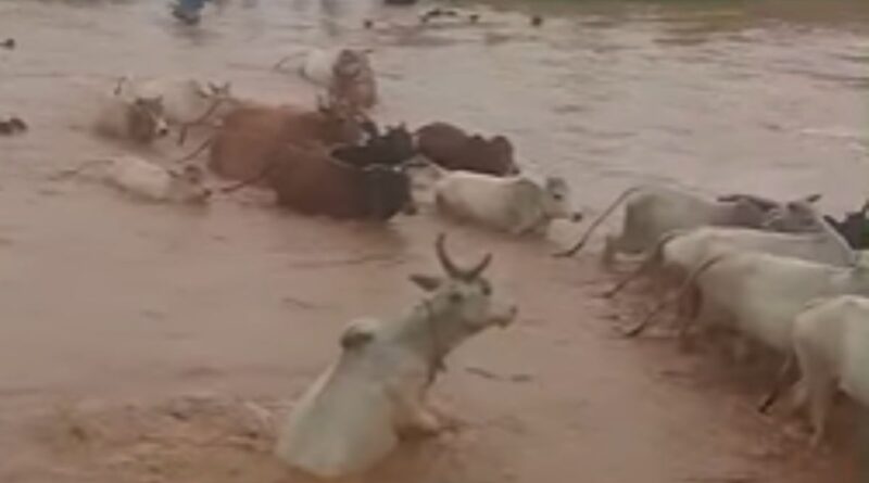 Dumri River News